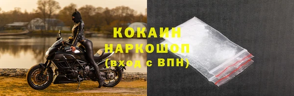 шишки Богородск