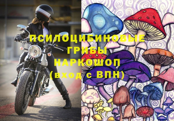 шишки Богородск