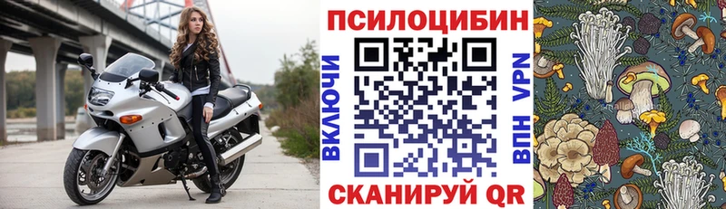 Псилоцибиновые грибы мухоморы Новокузнецк